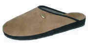 7 A 4202 Camoscio.jpg (45989 byte)