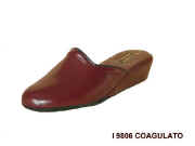 3 I 9806 Coa.JPG (16069 byte)