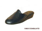3 I 9830 Coa.JPG (17451 byte)