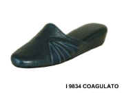 3 I 9834 Coa.JPG (19046 byte)